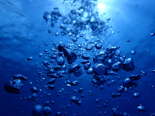 e0132965_1636766.jpg