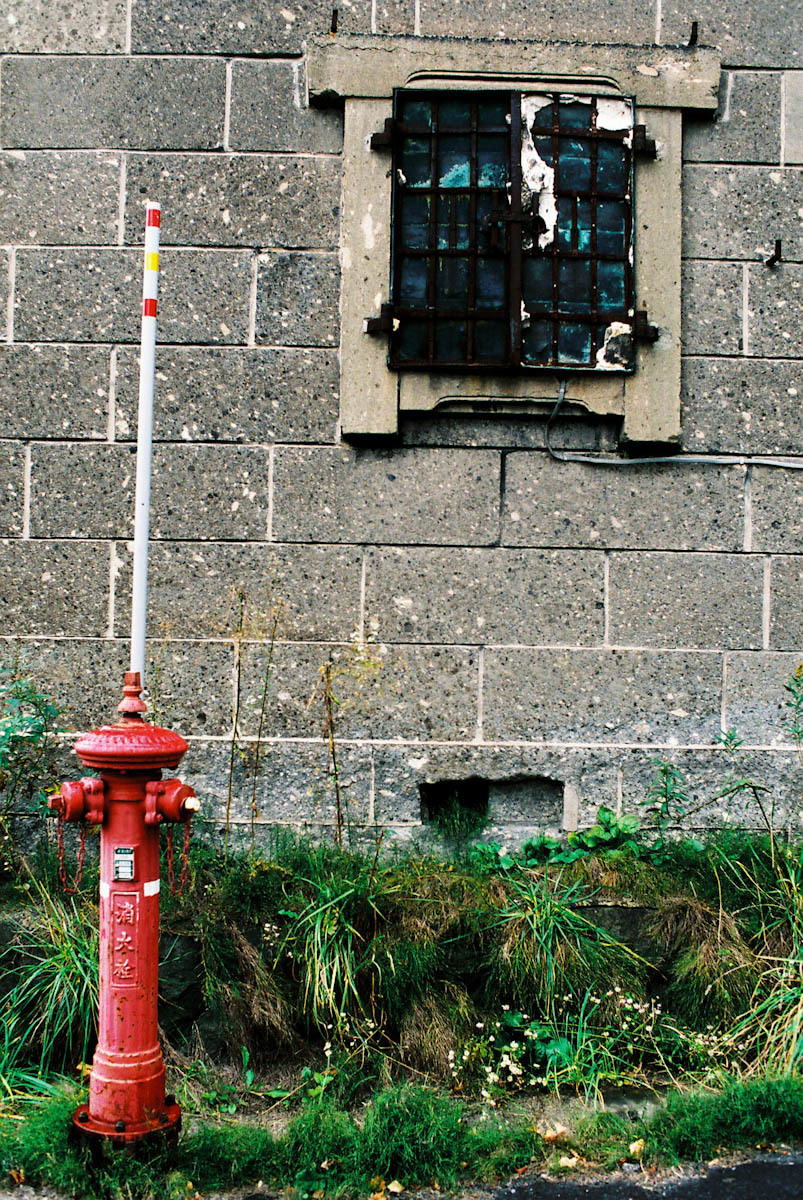 c0084666_12113739.jpg