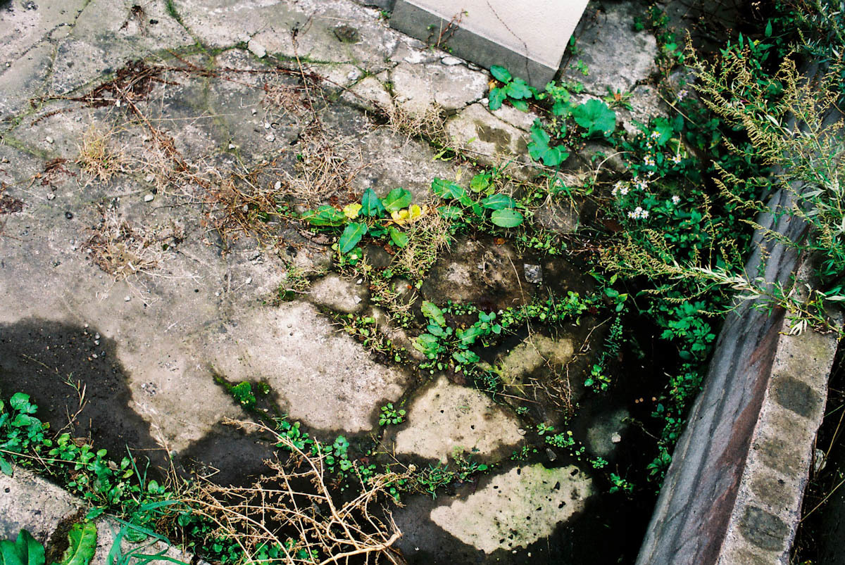 c0084666_12115135.jpg