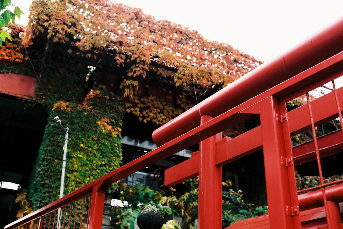 c0084666_12120117.jpg