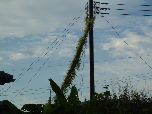 e0278968_22013156.jpg