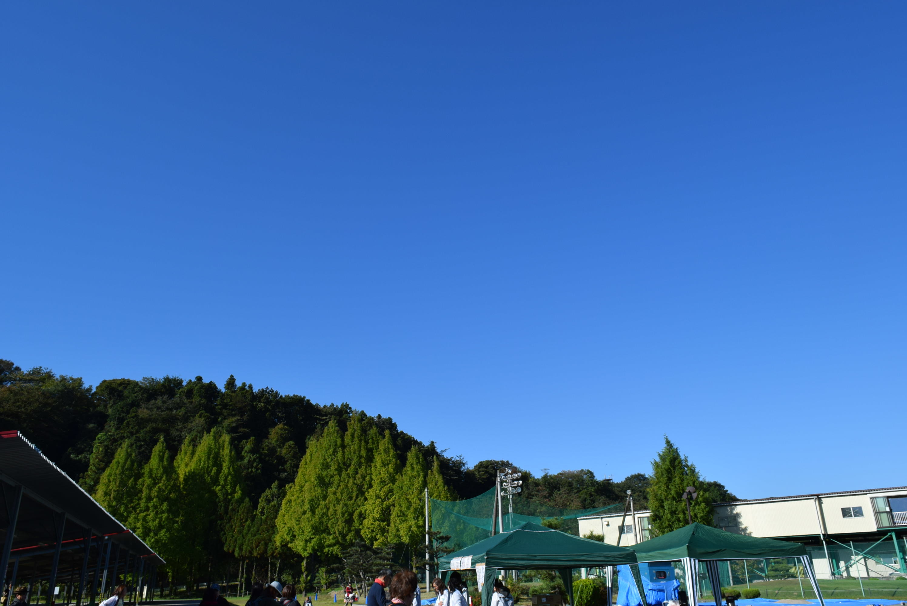 b0242873_12392138.jpg