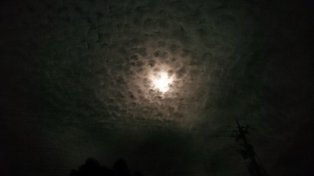e0168583_21073101.jpg