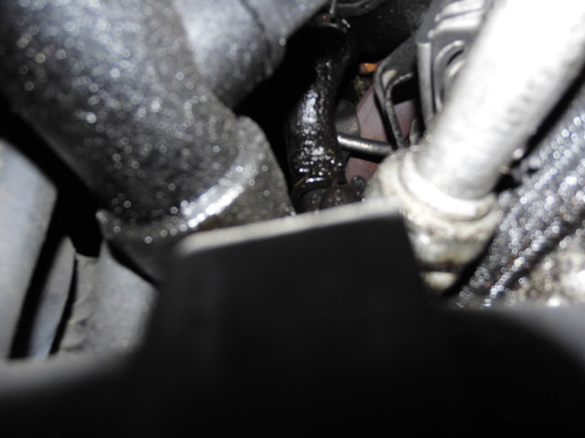 c0219786_1729653.jpg