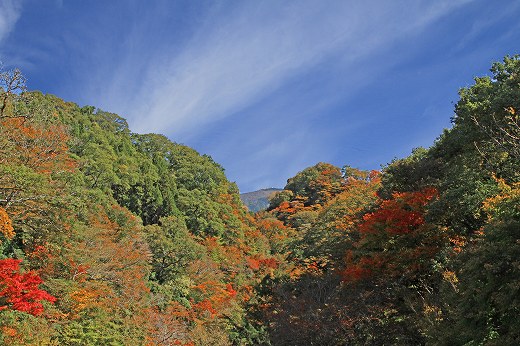 a0222494_16341455.jpg