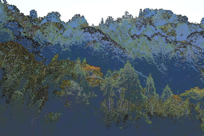 a0277496_10271442.jpg