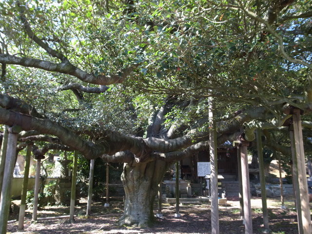f0197703_10062385.jpg