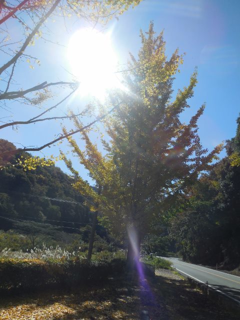 d0024504_23152548.jpg