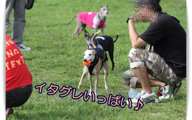 e0100007_21435353.jpg