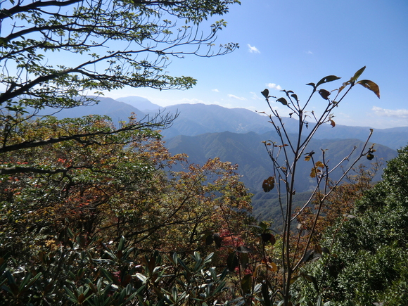 d0170615_13981.jpg