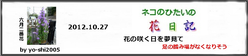 e0033229_182036.jpg