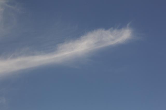 c0309734_21061539.jpg