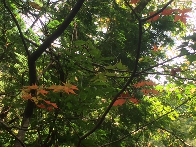 a0048040_22402915.jpg