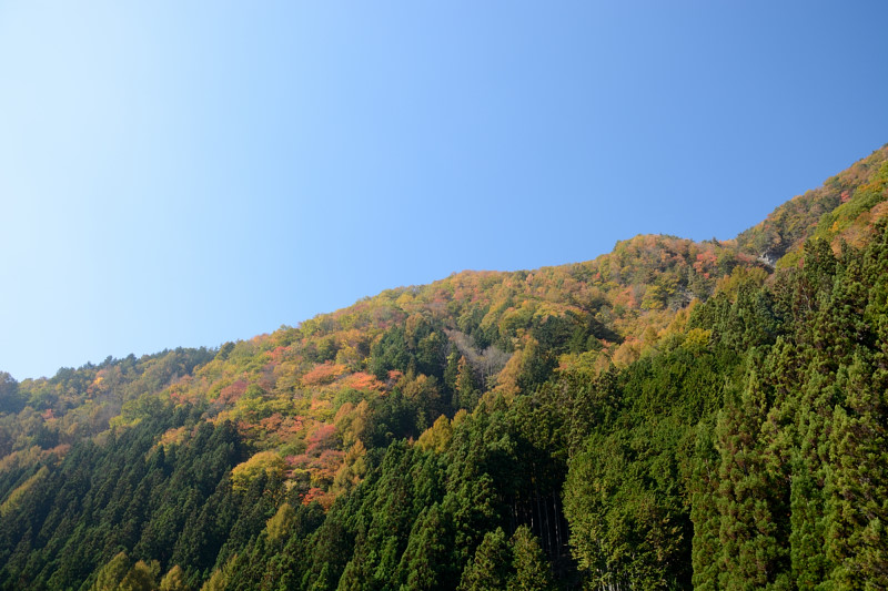 d0164443_1125186.jpg