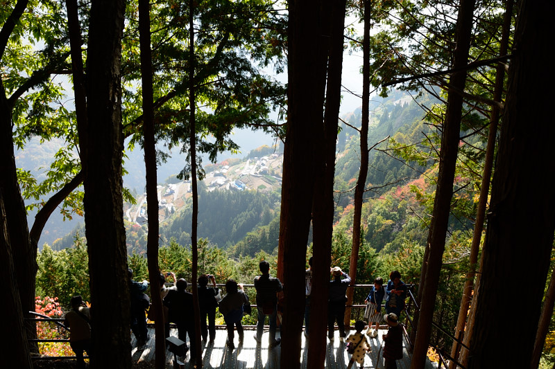 d0164443_16183174.jpg