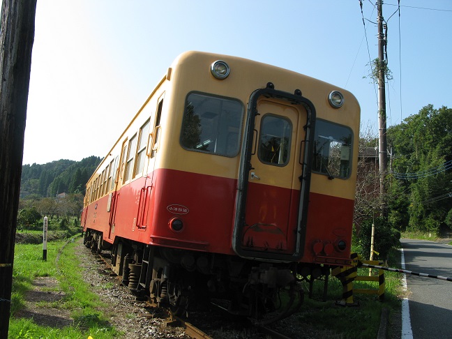 d0333943_6533334.jpg