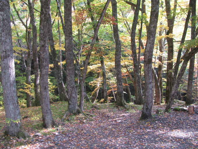 f0151044_8475347.jpg