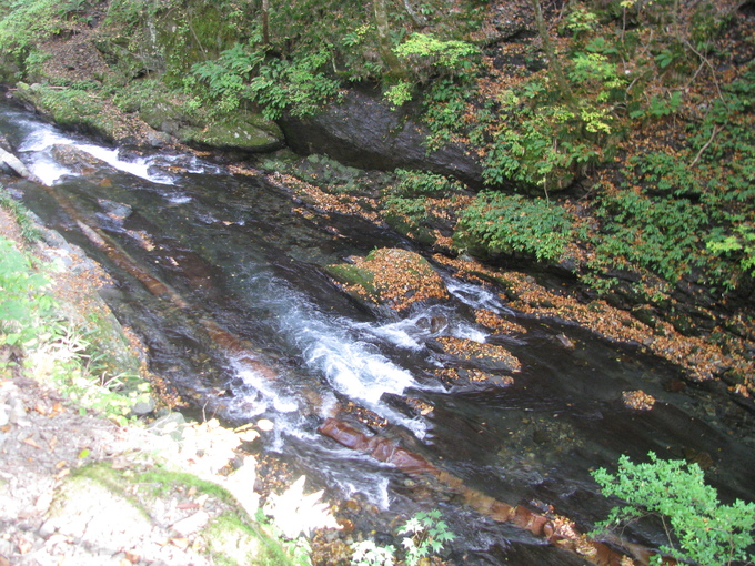 f0151044_8483253.jpg