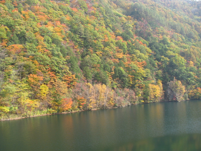 f0151044_8502585.jpg