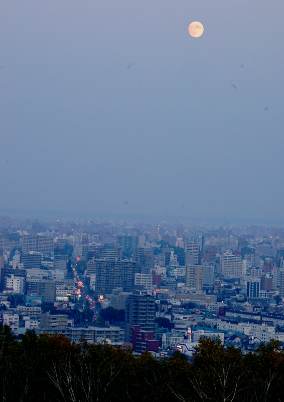 a0112747_23361985.jpg