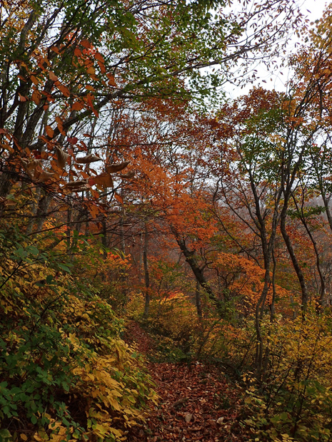f0214649_49486.jpg
