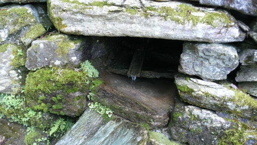 c0133458_14265385.jpg