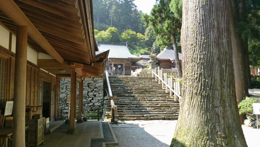 c0133458_14285550.jpg