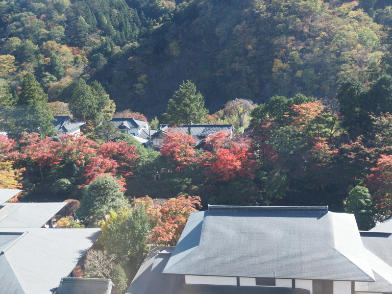 a0073065_10595915.jpg