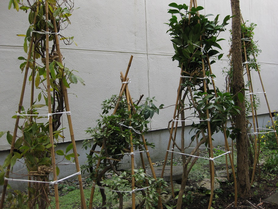 c0148165_18385189.jpg