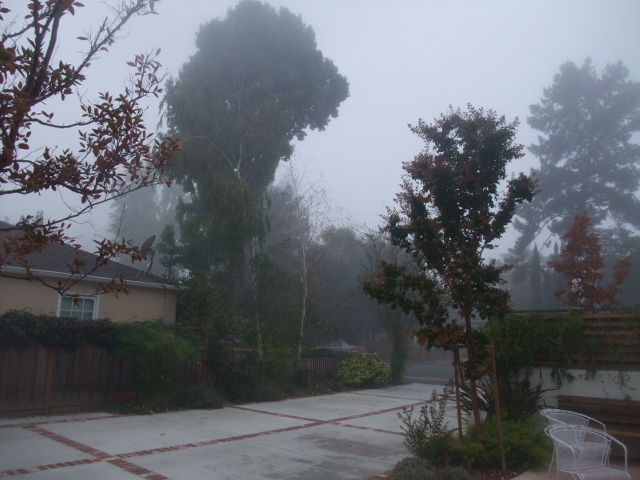c0115366_791661.jpg