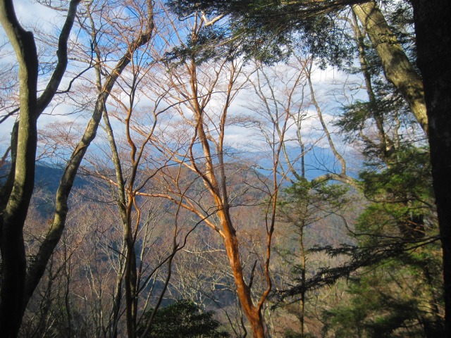 c0219866_181431.jpg