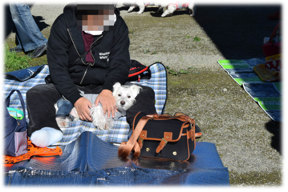 b0242873_13252284.png