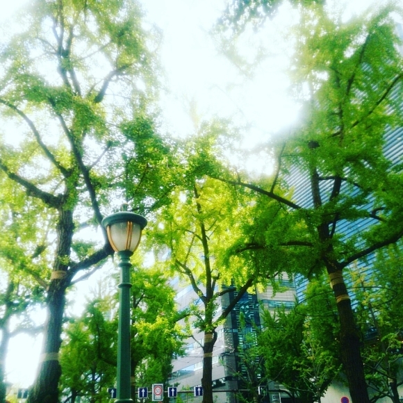 f0184876_18013017.jpg