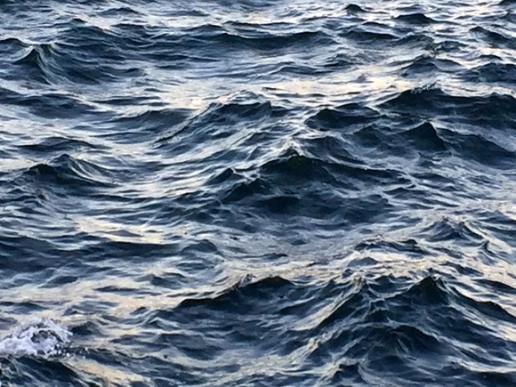 a0152078_133726.jpg