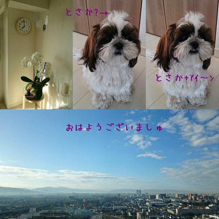 c0363378_13253523.jpg