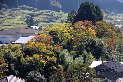 c0152779_204497.jpg