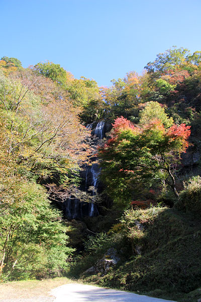 c0152779_20504583.jpg