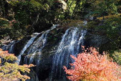 c0152779_20505792.jpg