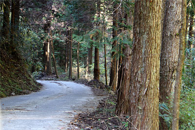 c0152779_205249.jpg