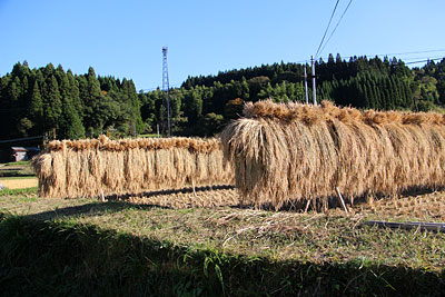 c0152779_2171065.jpg