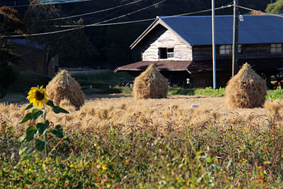 c0152779_2172218.jpg