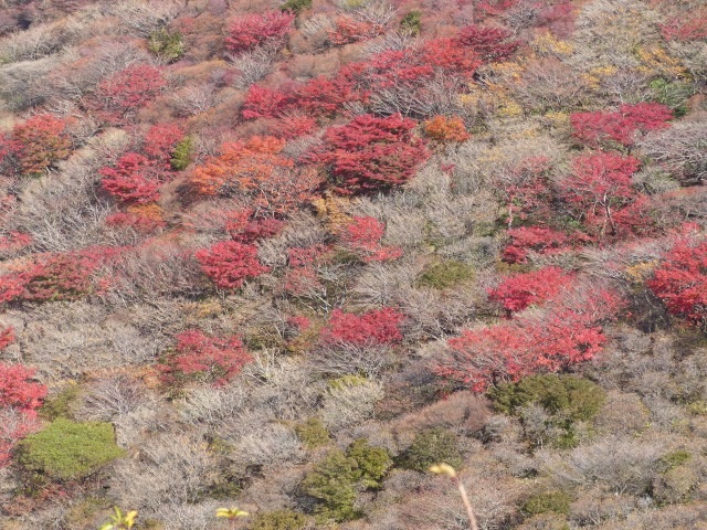 f0357487_643284.jpg