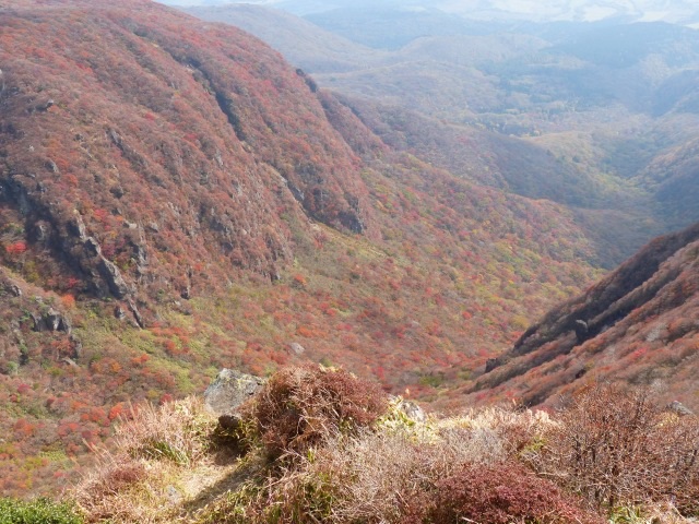 f0357487_644353.jpg
