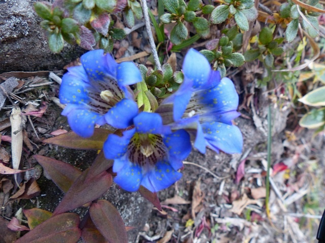 f0357487_645196.jpg
