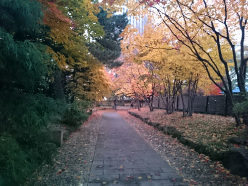 b0348195_11373183.jpg