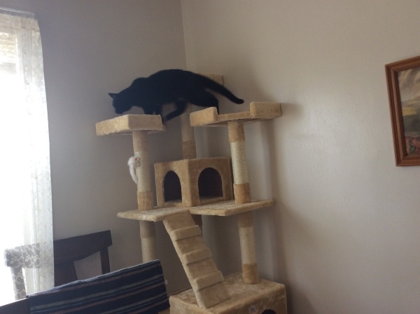 d0130296_07281972.jpeg