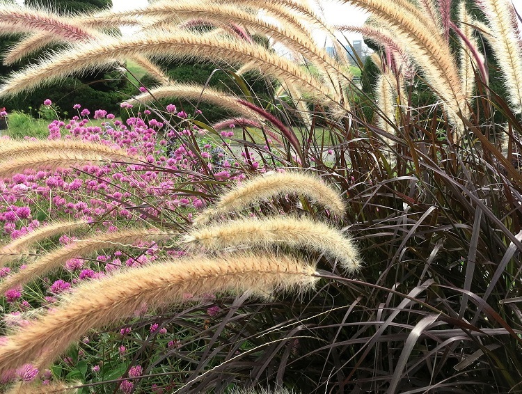 c0119197_08085479.jpg