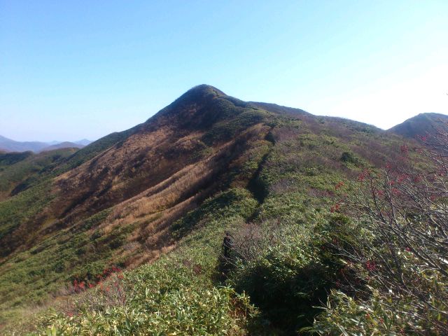 e0317698_8324030.jpg
