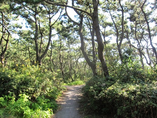 e0245404_1751531.jpg