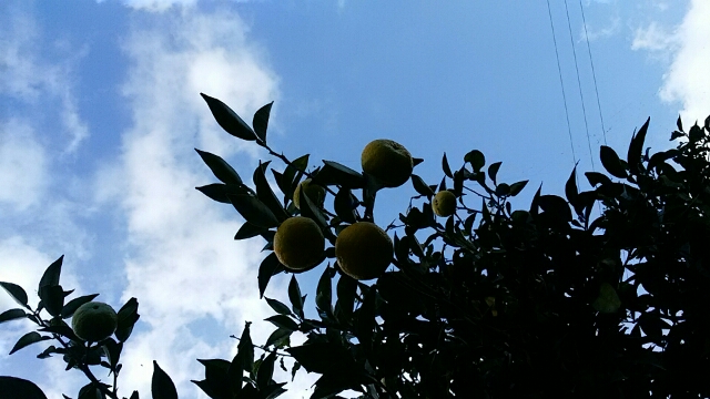 f0231709_16262395.jpg